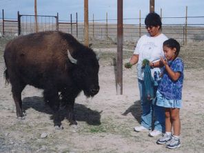  -- © Te-Moak Tribe of Western Shoshone